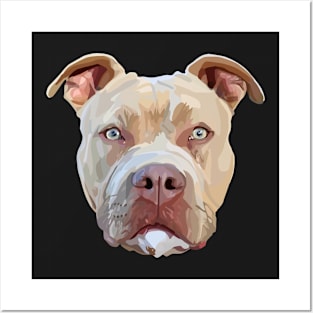 Pitbull Dog Posters and Art